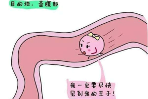 排卵日
