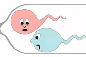 精子不液化