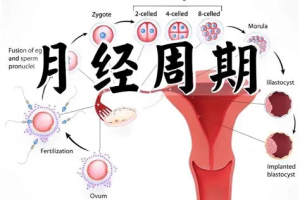 月经提前