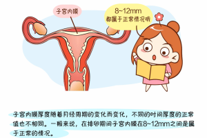 子宫内膜薄