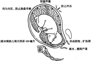 羊水深度
