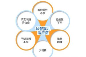 试管婴儿一年可以做几次？